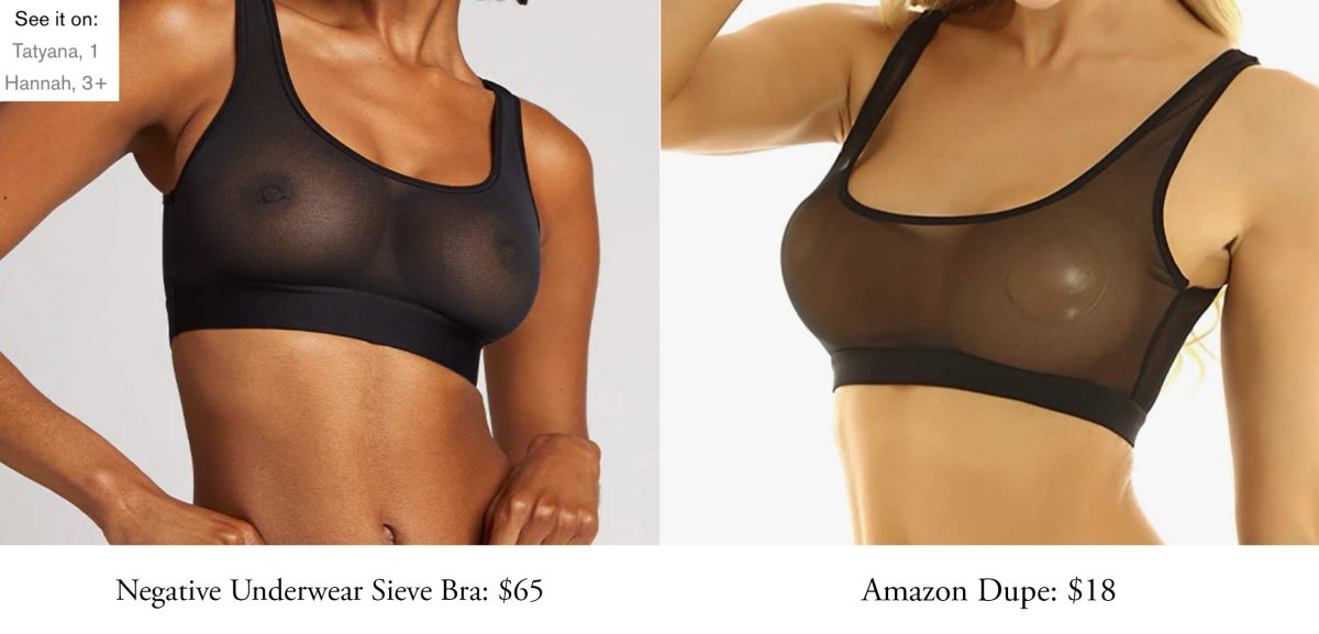 What is the BEST Negative Underwear Dupe? | 6 Incredibly Sexy Bras (2023) 167 negative underwear sieve bra dupes
